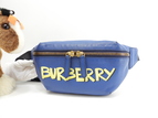 バーバリー ベルトバッグ フルレザー 青 ボディバッグ ロゴ 美品@ITROYPEL24SES